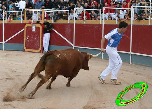 Borja (Zaragoza) 19-09-2009 Concurso de recortadores con anillas, ganaderia Hnos Ozcoz (Fuente de Ebro, Zaragoza) 3943498845_53a24dd137