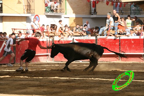 Cadreita (Navarra) 22-07-2009 Ganaderia el "Pincha" Lodosa (Navarra) 3761137661_d428bd2afd