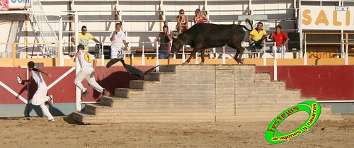 Villamayor (Zaragoza)   9-9-2009 Ganaderia Hnos Murillo (Tauste) 3919503973_20d1045822