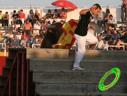 Borja (Zaragoza) desafio de ganaderias Murillo Conde (Tauste, Zaragoza) y Jose Arriazu e hijos (Ablitas, Navarra) 3966042172_f9cfc7f9e3