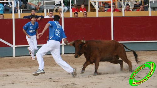 Borja (Zaragoza) 19-09-2009 Concurso de recortadores con anillas, ganaderia Hnos Ozcoz (Fuente de Ebro, Zaragoza) 3944272626_1cae1bd0bb