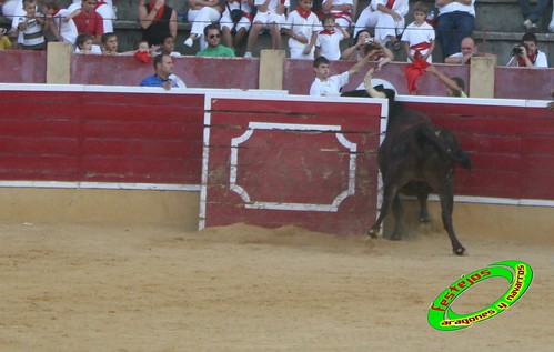 Cintruenigo (Navarra) 11-09-09 despedida de Jose Luis Pejenaute, exhicion de saltos, moto, quad y anillas, ganaderia Santos Zapateria (Valtierra, Navarra) 3926850910_9667e7044d