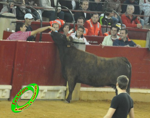 Zaragoza, jueves 15 de Octubre ganaderia  Jose Arriazu e Hijos (Ablitas, Navarra) 4032504964_96bcfa3271