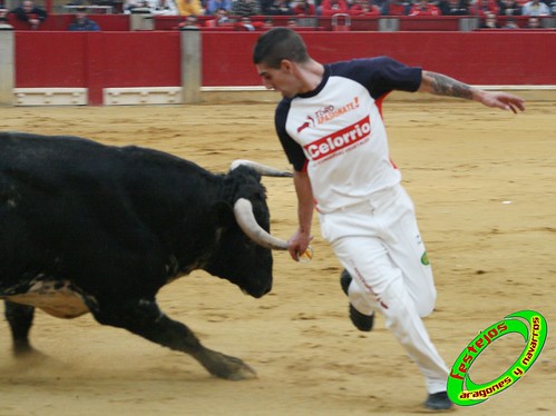 Zaragoza, Concurso de recortadores anillas con toros 4035356096_4e6b1625bf