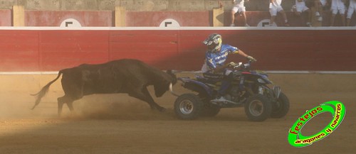 Cintruenigo (Navarra) 11-09-09 despedida de Jose Luis Pejenaute, exhicion de saltos, moto, quad y anillas, ganaderia Santos Zapateria (Valtierra, Navarra) 3926100835_02fa8efbc4