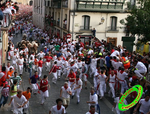 Pamplona (Navarra) 12-07-2009 Encierro de toros de Miura 3716433600_7a3879c940