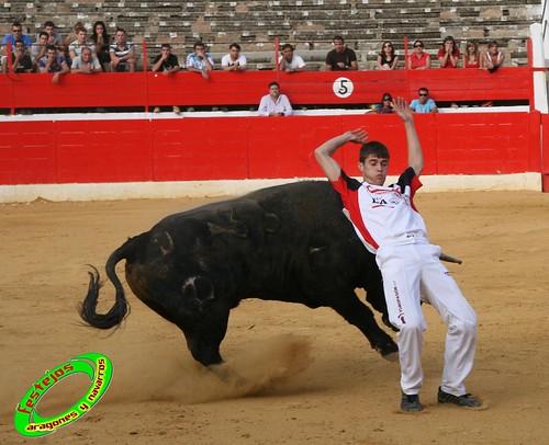 Concurso de cortes en Alfaro (La Rioja) 5-09-2009 toros de Toropasion 3904094805_bac1d1645d