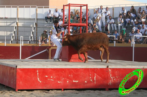 Villamayor (Zaragoza)   9-9-2009 Ganaderia Hnos Murillo (Tauste) 3920380078_8d1e2303c2