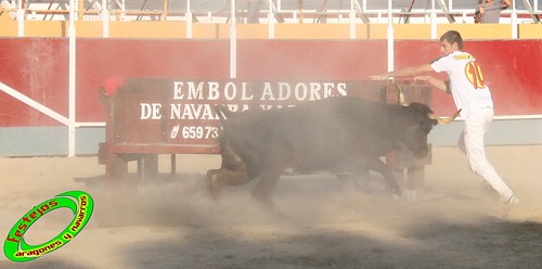 Villamayor (Zaragoza)   9-9-2009 Ganaderia Hnos Murillo (Tauste) 3919427253_7f993ded04