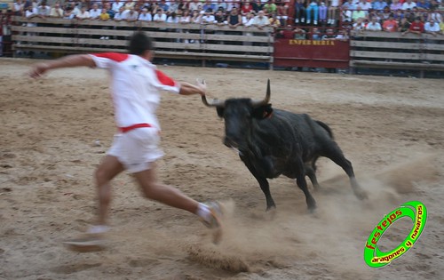 Mallen (Zaragoza) 10-09-2009 ganaderia Hnos. Vela (Mallen) 3922936975_587aeca7a4