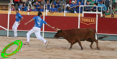 Borja (Zaragoza) 19-09-2009 Concurso de recortadores con anillas, ganaderia Hnos Ozcoz (Fuente de Ebro, Zaragoza) 3943494519_f20f13a0c2