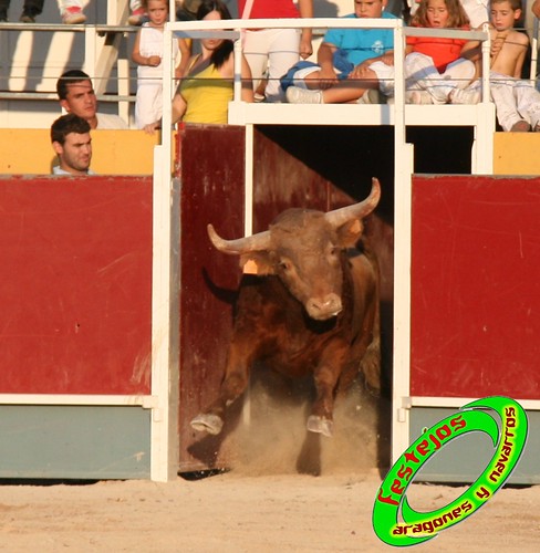 Borja (Zaragoza) desafio de ganaderias Murillo Conde (Tauste, Zaragoza) y Jose Arriazu e hijos (Ablitas, Navarra) 3965889984_5b8e8ddc54