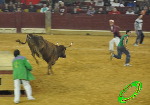 Zaragoza, jueves 15 de Octubre ganaderia  Jose Arriazu e Hijos (Ablitas, Navarra) 4031683449_da7139580e