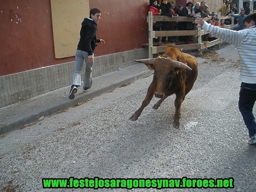 Gallur domingo 22 - 02 - 2009 Ganaderia Manuel Relancio 3305391897_7d0f56839d