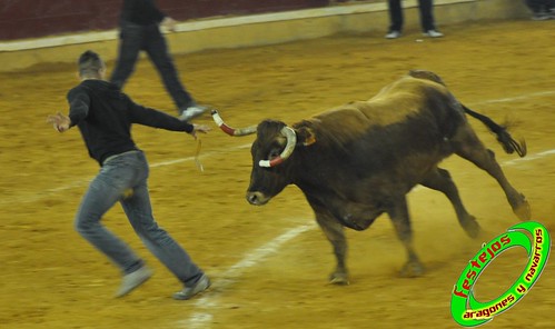 Zaragoza, jueves 15 de Octubre ganaderia  Jose Arriazu e Hijos (Ablitas, Navarra) 4031700091_cf78587868