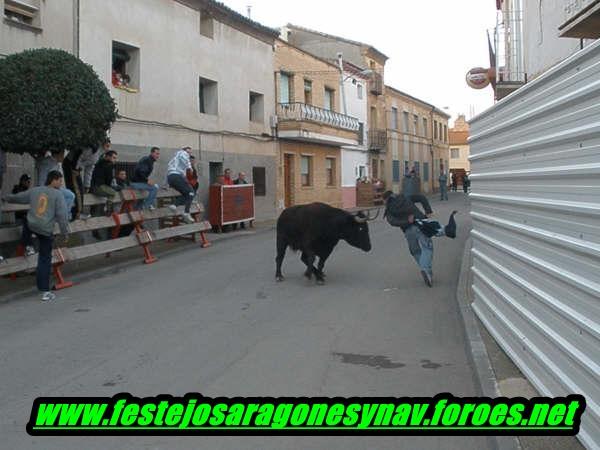 Cabañas de Ebro (tarde) ganaderia de Rafael Alarcón 3225639475_990819a84f_o