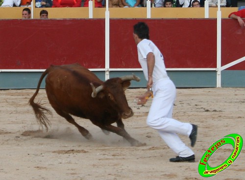 Borja (Zaragoza) 19-09-2009 Concurso de recortadores con anillas, ganaderia Hnos Ozcoz (Fuente de Ebro, Zaragoza) 3944144123_a1e973cf78