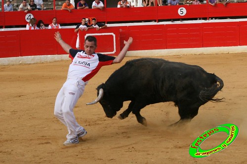 Concurso de cortes en Alfaro (La Rioja) 5-09-2009 toros de Toropasion 3904791840_f7e11b315f