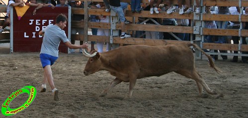 Ribaforada (Navarra)  25-08-2009 ganaderia Santos Zapateria (Valtierra) 3862721348_6573fc91a2