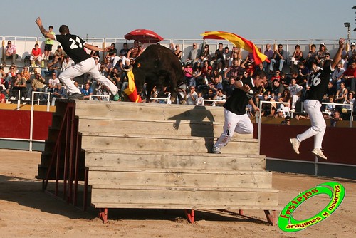 Borja (Zaragoza) desafio de ganaderias Murillo Conde (Tauste, Zaragoza) y Jose Arriazu e hijos (Ablitas, Navarra) 3965119451_ccc59b7e34