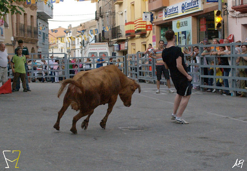 Magallón (Zaragoza) 9.8.2009 Ganadería Merino Gil - Garde (Marcilla, Navarra) 3807996698_fd95a1e3d8