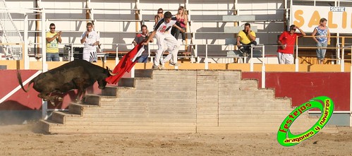 Villamayor (Zaragoza)   9-9-2009 Ganaderia Hnos Murillo (Tauste) 3920268224_78fd325297