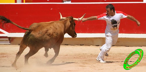 Concurso de recortadores de Pamplona con ganaderias de casta navarra 3723793471_4e09477065