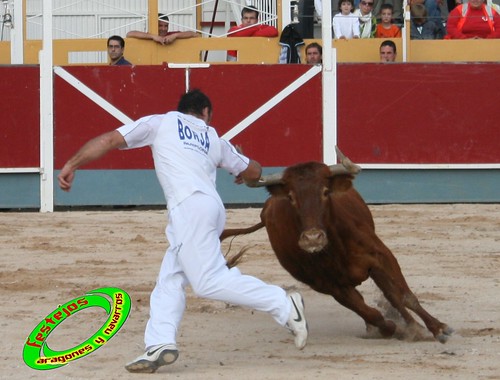 Borja (Zaragoza) 19-09-2009 Concurso de recortadores con anillas, ganaderia Hnos Ozcoz (Fuente de Ebro, Zaragoza) 3944145411_ec012e9a92