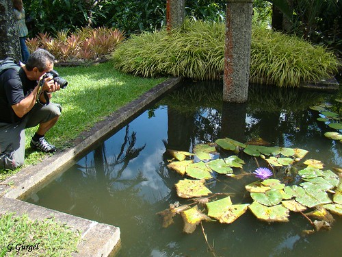 ROBERTO BURLE MARX A GREAT LANDSCAPE ARCHITECT (BRAZILIAN!) 3469764322_1b1966d468