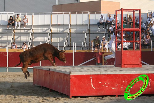 Villamayor (Zaragoza)   9-9-2009 Ganaderia Hnos Murillo (Tauste) 3919591637_78f2609f9e