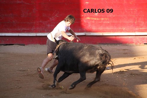 CORTES (NAVARRA) 27-09-09 GANADERIA USTARROZ de ARGUEDAS 3965333049_fe30b7e3ee