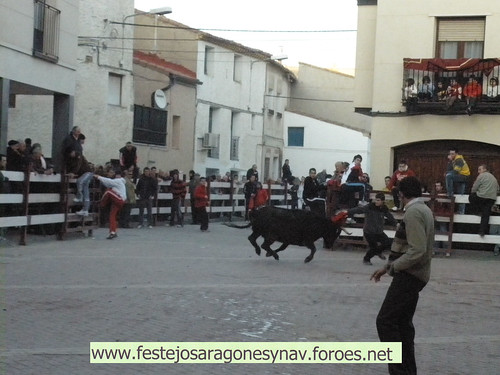 DIA 17-01-09  PRADILLA DE EBRO -  GANADO DE CUARTERO 3205514853_9b7447baf2