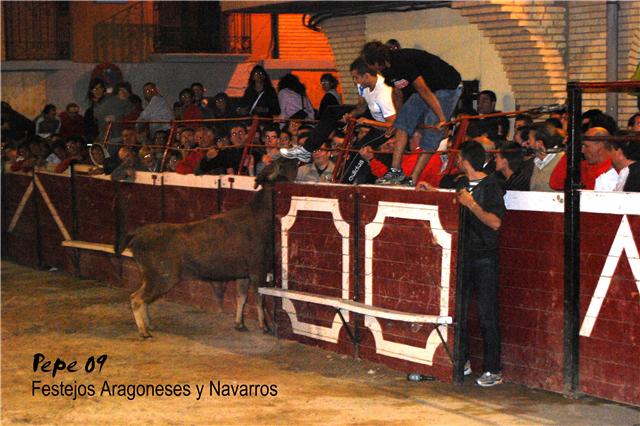 Cadreita (Navarra) 18-07-2009 noche Ganaderia de Enrique Dominguez (Funes, Navarra) 3741516125_0f944c4dcb_o