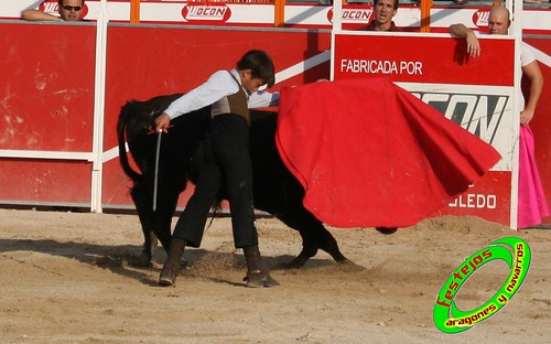 Villanueva de Gallego (Zaragoza) 6-08-2009 Ganaderia Hnos. Marcen 3797256729_fe04e37f34