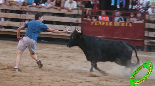 Mallen (Zaragoza) 10-09-2009 ganaderia Hnos. Vela (Mallen) 3922927365_3f127d739a