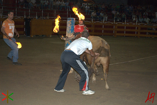 Quinto (Zaragoza) 18.7.2009 Embolado Hnos. Ozcoz y Vacas Hnos. Marcén 3742912232_f6849bf7ae