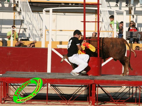 Borja (Zaragoza) desafio de ganaderias Murillo Conde (Tauste, Zaragoza) y Jose Arriazu e hijos (Ablitas, Navarra) 3965178743_f6f6588f4e