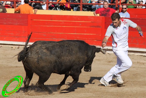 Concurso de recortadores del Burgo de Ebro (Zaragoza) 23-4-2010 ganaderia Ivan Lopez (Villafranca de Ebro, Zaragoza) 4557849069_cf5a4ce9fe