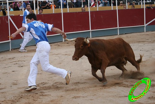 Borja (Zaragoza) 19-09-2009 Concurso de recortadores con anillas, ganaderia Hnos Ozcoz (Fuente de Ebro, Zaragoza) 3944277282_117c4c100e