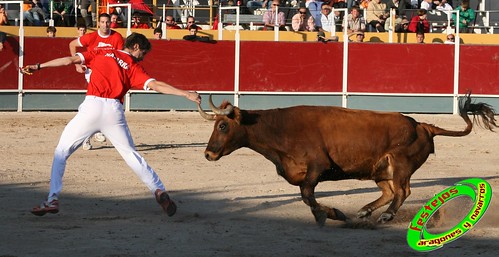 Borja (Zaragoza) Concurso por Comunidades de anillas, ganaderia Begoña Arnillas 3962289948_f81fc16ff6