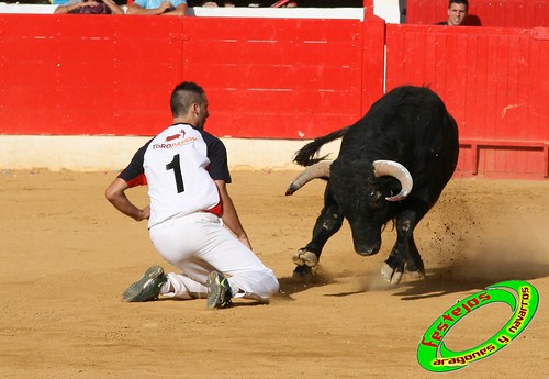 Concurso de cortes en Alfaro (La Rioja) 5-09-2009 toros de Toropasion 3904086297_b66aa83632