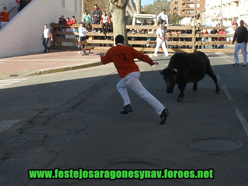 Arnedo 20-03-09 Ganaderia Manuel Merino 3379332036_025fb3933d