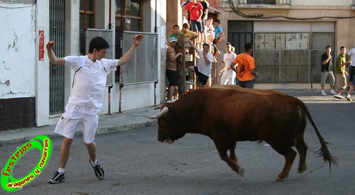 Cortes de Navarra (Navarra) Ganaderia Macua 26-06-2009 3675275189_4abe45d31e