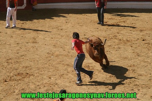 Arnedo 21-03-2009 Ganaderia Manuel Merino 3382145210_ab0b001103