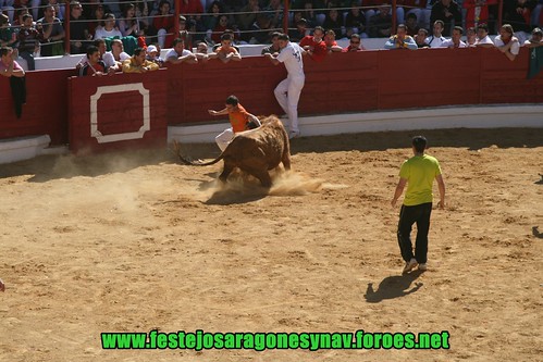 Arnedo 20-03-09 Ganaderia Manuel Merino 3378511697_4d6ac40c2d