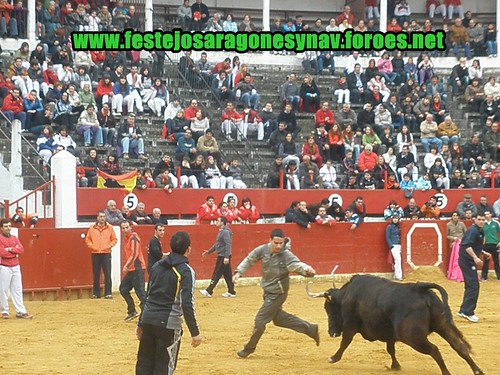 Calahorra domingo 01 - 03 - 2009 Ganaderia German Vidal 3321617001_061f923bda