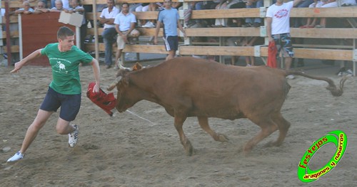 Ribaforada (Navarra)  28-08-2009 ganaderia Macua (Larraga, Navarra) 3874588635_0d0a88e334