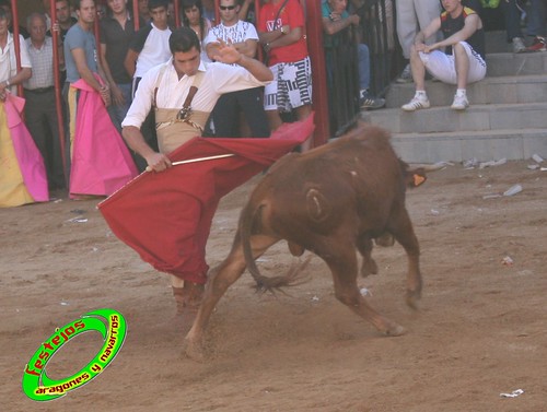 Alpartir (Zaragoza) 21-06-2009 Ganaderia "El Ruiseñor" (Frescano) 3656787866_3028b72943