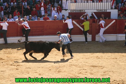 Arnedo 20-03-09 Ganaderia Manuel Merino 3379273000_d986c782a5