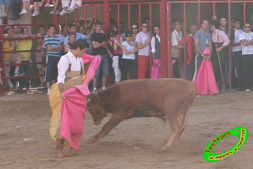 Alpartir (Zaragoza) 21-06-2009 Ganaderia "El Ruiseñor" (Frescano) 3655984973_506798dde4